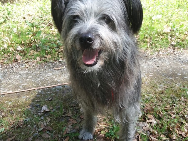 Im Frühjahr 2017 (3)